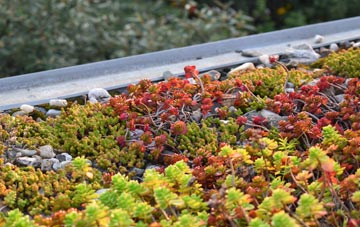 the cost of Slamannan green roof installation