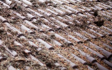 Slamannan roof cleaning companies