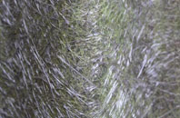 Slamannan fibreglass roof work